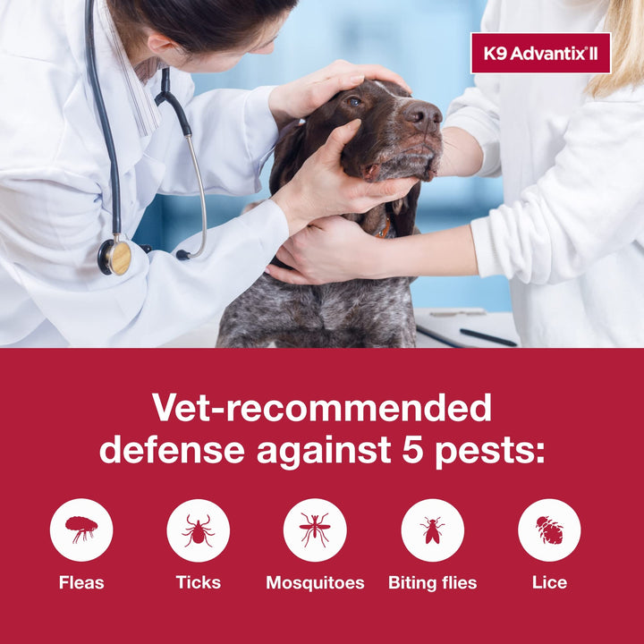 K9 Advantix II XL Dog Vet-Recommended Flea, Tick & Mosquito Treatment & Prevention | Dogs Over 55 lbs. | 1-Mo Supply 1 Pack XL Dog only