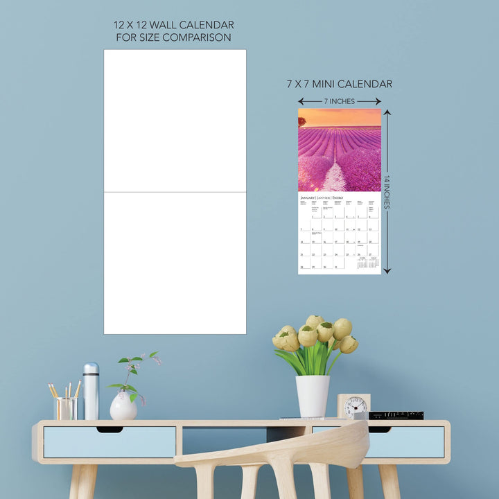 Graphique 2024 Provence Mini Wall Calendar | 7 x 7 | Thick Paper | Home & Office Organizer | Large Monthly Grid | 3 Languages & Marked Holidays | 4 Month Preview Page for 2025