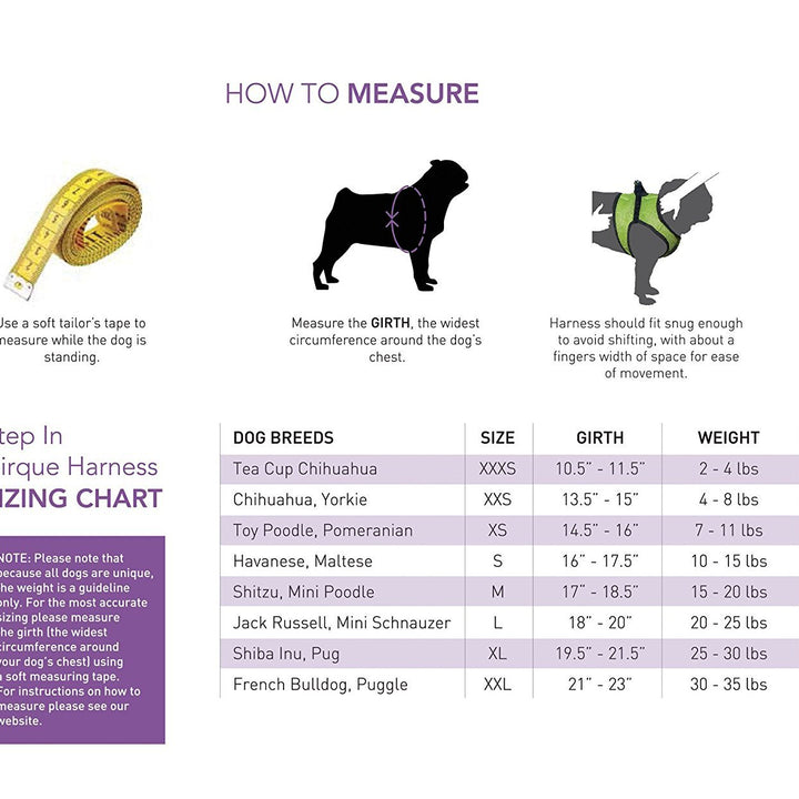 RC Pet Products Cirque Soft Walking Step-in Dog Harness, Pineapple Parade, X-Small XSmall