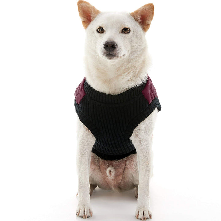 Gooby Fashion Vest Dog Jacket - Purple, Small - Warm Zip Up Dog Bomber Vest with Dual D Ring Leash - Winter Water Resistant Small Dog Sweater - Dog Clothes for Small Dogs Boy or Medium Dogs Small chest (~12")