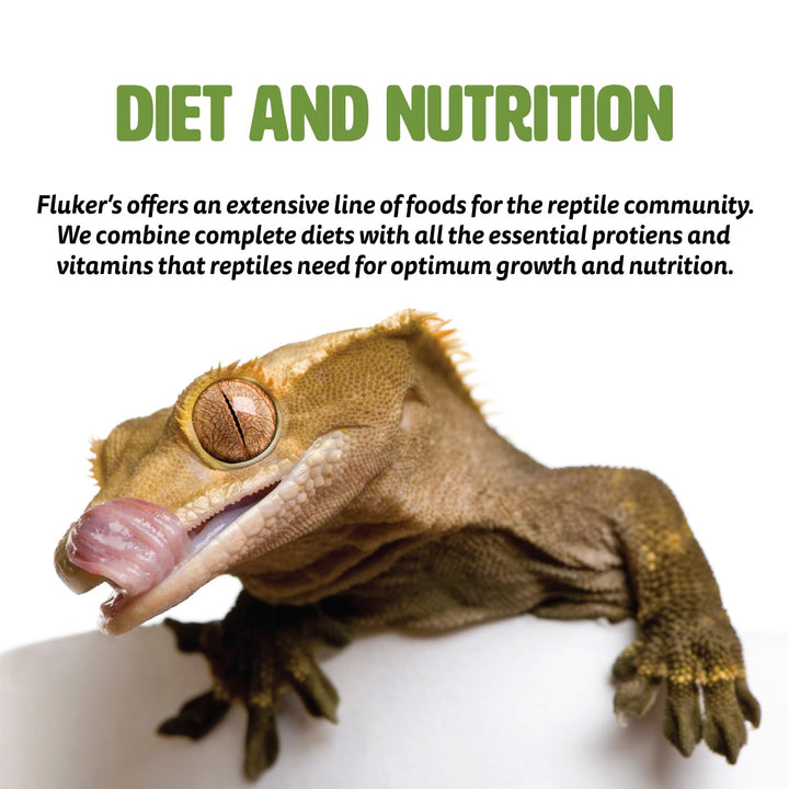 Fluker's Buffet Blend Juvenile Bearded Dragon Diet - Veggie Variety, 9oz 8.5 Ounce (Pack of 1)