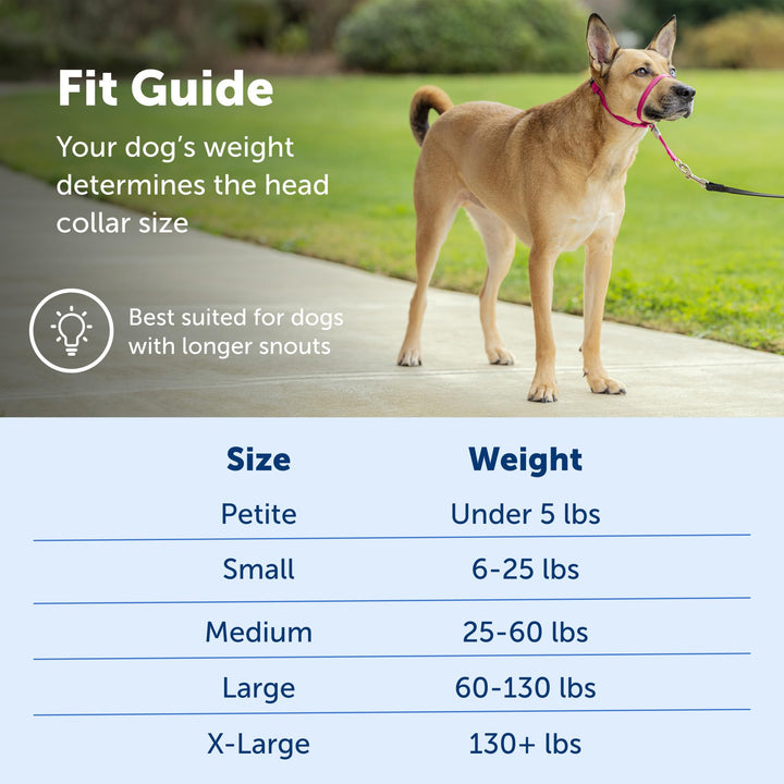 PetSafe Gentle Leader No-Pull Dog Headcollar - The Ultimate Solution to Pulling - Redirects Your Dog's Pulling For Easier Walks - Helps You Regain Control - Medium , Silver