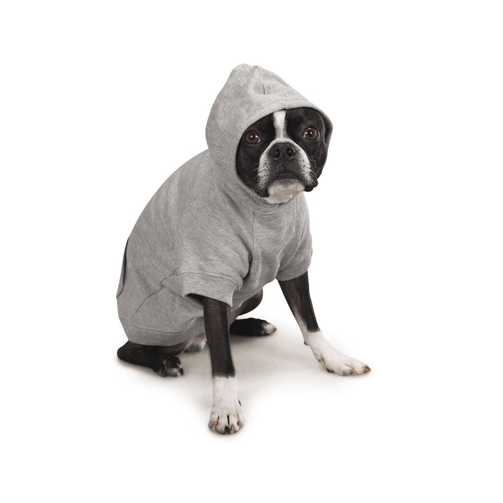 Zack & Zoey Basic Hoodie for Dogs, 30" XX-Large, Heather Gray