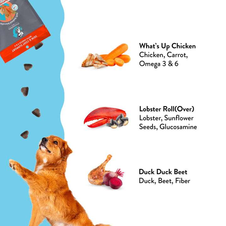 Shameless Pets Soft-Baked Dog Treats, Fish & Poultry Variety 3-Pack - Natural & Healthy Dog Chews for Small, Medium & Large Dogs - Dog Biscuits Baked & Made in USA, Free from Grain, Corn & Soy Fish & Poultry Variety Pack 6 Ounce (Pack of 3)