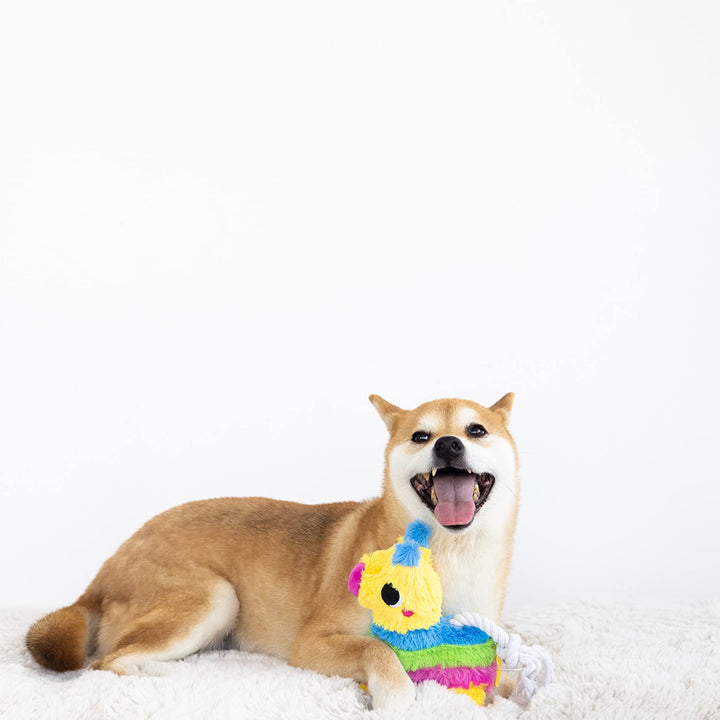 Pearhead Puppy Pinata Dog Toy, Rope Tug Toy for Dogs, Colorful Interactive Dog Toys, Party Pinata Toy for Dogs, Plush Chew Toy, Pet Owner Must Have Toy Pearhead Puppy Pinata Dog Toy