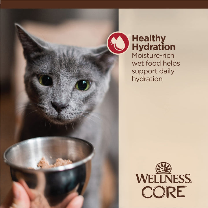 Wellness CORE Tiny Tasters Wet Cat Food, Complete & Balanced Natural Pet Food, Made with Real Meat, 1.75-Ounce Pouch, 12 Pack (Adult Cat, Minced Chicken & Beef in Gravy) 1.75 Ounce (Pack of 12)