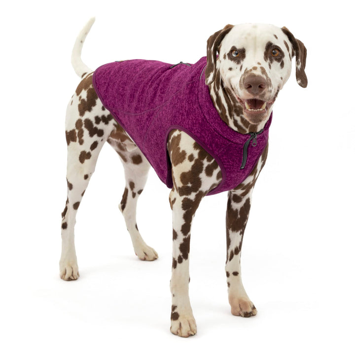Kurgo Core Dog Sweater, Knit Dog Sweater With Fleece Lining, Cold Weather Pet Jacket, Zipper Opening for Harness, Adjustable Neck, Year-Round Sweater for Large Dogs (Heather Violet, X-Large) Extra Large Heather Violet
