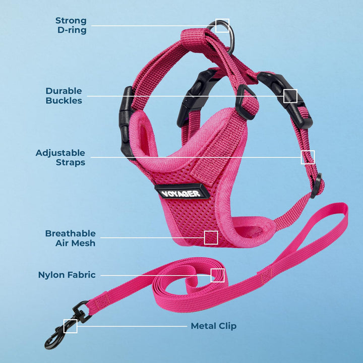 Voyager Step-in Lock Cat Harness w Reflective Cat Leash Combo Set with Neoprene Handle 5ft - Supports Small, Medium and Large Breed Cats by Best Pet Supplies - Fuchsia, XXXS Harness Leash Set (Fuchsia) XXXS (Chest: 10.5 - 13" * Fit Cats)