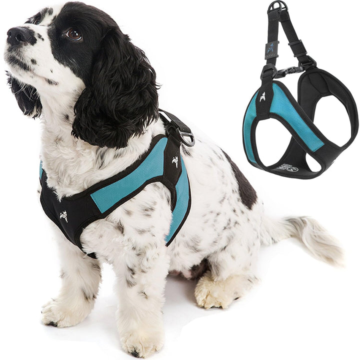 Gooby Escape Free Easy Fit Harness - Turquoise, X-Small - No Pull Step-in Patented Small Dog Harness with Quick Release Buckle - Perfect On The Go No Pull Harness for Small Dogs or Medium Dog Harness X-Small chest (15~17.25")