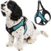 Gooby Escape Free Easy Fit Harness - Turquoise, X-Small - No Pull Step-in Patented Small Dog Harness with Quick Release Buckle - Perfect On The Go No Pull Harness for Small Dogs or Medium Dog Harness X-Small chest (15~17.25")