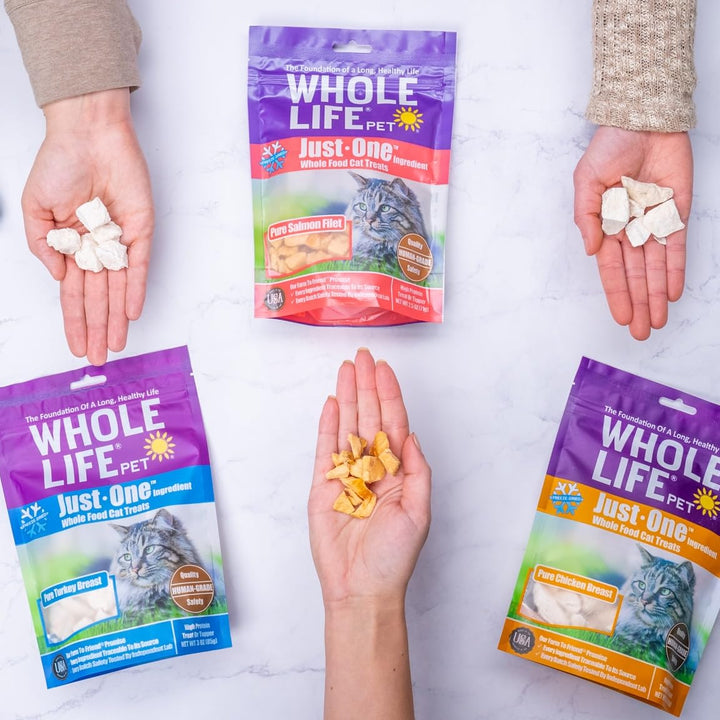 Whole Life Pet Just One Salmon - Cat Treat Or Topper - Human Grade, Freeze Dried, One Ingredient - Protein Rich, Grain Free, Made in The USA