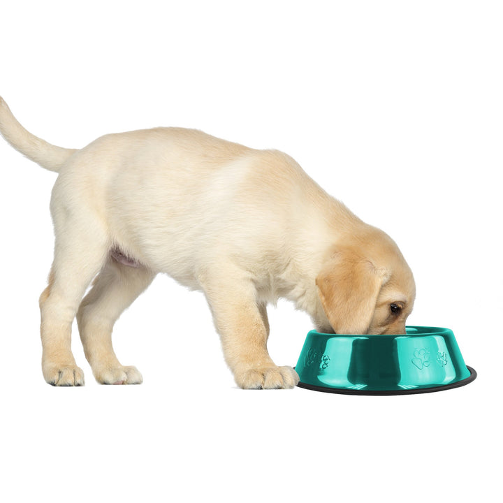 Platinum Pets Non-Tip Stainless Steel Dog Bowl, 10 Oz, Caribbean Teal, Small