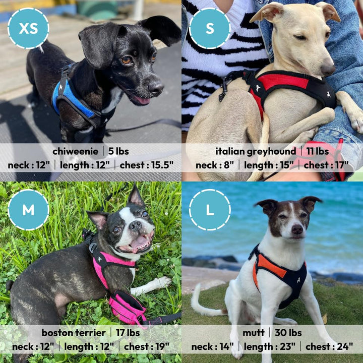 Gooby Escape Free Easy Fit Harness - Hot Pink, Medium - No Pull Step-in Patented Small Dog Harness with Quick Release Buckle - Perfect On The Go No Pull Harness for Small Dogs or Medium Dog Harness Medium chest (18~21.75")