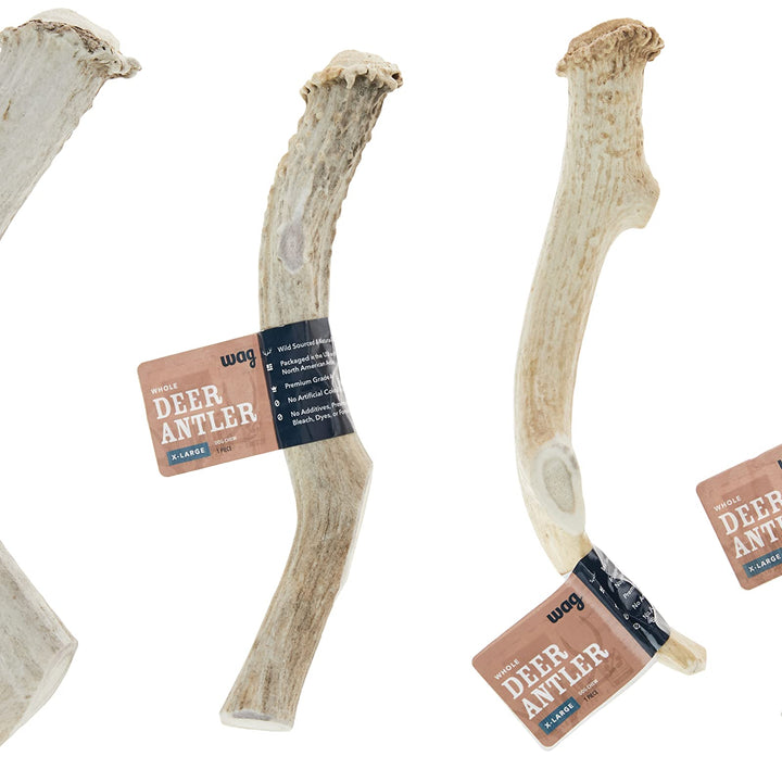 Wag Dog Deer Antler Chew, Naturally Shed, Whole, 9–10.5 inches, X-Large (Best for Dogs over 45 lbs) 5.5 Ounce (Pack of 1)