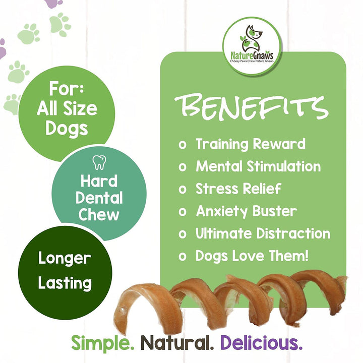 Nature Gnaws Bully Stick Springs for Dogs - Premium Natural Beef Dental Bones - Long Lasting Curly Dog Chew Treats for Aggressive Chewers - Rawhide Free 12 Count (Pack of 1) 12 Count (Pack of 1)