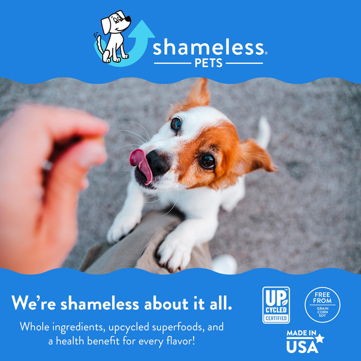 Shameless Pets Soft-Baked Dog Treats, Fish & Poultry Variety 3-Pack - Natural & Healthy Dog Chews for Small, Medium & Large Dogs - Dog Biscuits Baked & Made in USA, Free from Grain, Corn & Soy Fish & Poultry Variety Pack 6 Ounce (Pack of 3)