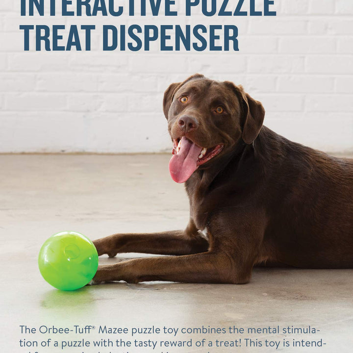Outward Hound Orbee-Tuff Mazee Interactive Treat Dispensing Puzzle Dog Toy, Green