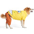 Halloween Tee & Shorts for Dogs - Fun and Cute Halloween Costumes for Dogs - Officially Licensed Spongebob Squarepants Pet Products, Spongebob Dog Outfit Medium,Yellow Yellow