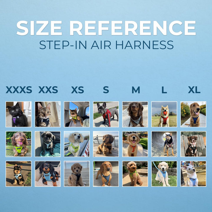 Voyager Step-In Air Dog Harness - All Weather Mesh Step in Vest Harness for Small and Medium Dogs by Best Pet Supplies - Blue Base, XL Harness (Blue/Black Trim) XL (Chest: 20.5 - 23")