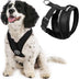 Gooby Comfort X Head In Harness - Black, Small - No Pull Small Dog Harness, Patented Choke-Free X Frame - Perfect on the Go Dog Harness for Medium Dogs No Pull or Small Dogs for Indoor and Outdoor Use Small Chest (11.75-15.5")