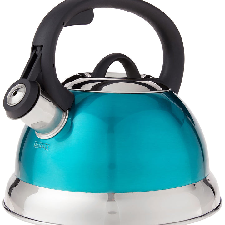 Mr. Coffee Flintshire Stainless Steel Whistling Tea Kettle W/Nylon Handle, 1.75-Quart, Metallic Teal Green