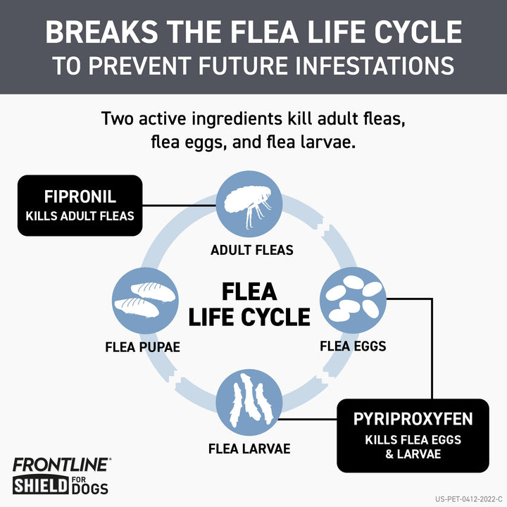 FRONTLINE Shield Flea & Tick Treatment for Large Dogs 41-80 lbs., Count of 6 6 Count