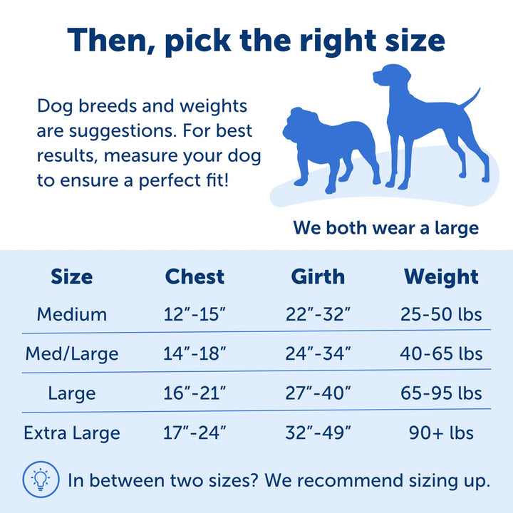 PetSafe Easy Walk Harness, Large, Deep Purple & Black for Dogs