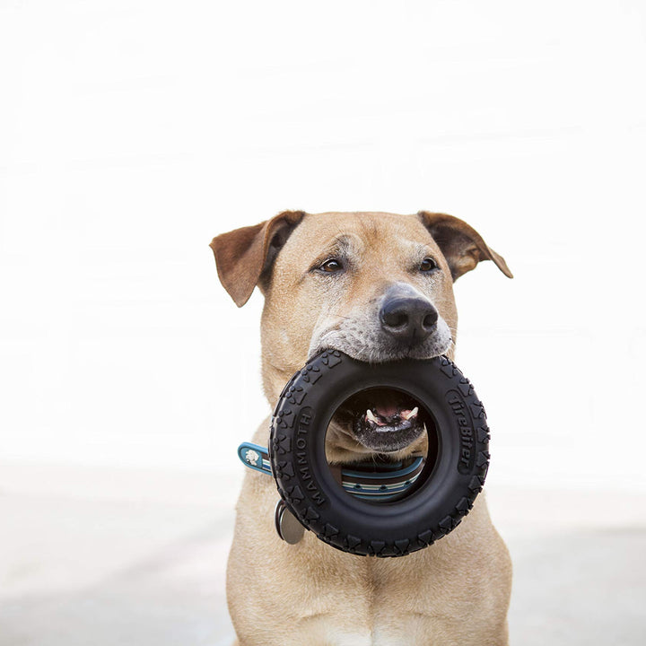Mammoth TireBiterII  Natural Rubber Dog Toys for Extreme Chewers  Dog Toys for Extra Long Interactive Play  Aggressive Chewer Toys for Large - X-Large Dogs - X-Large 7