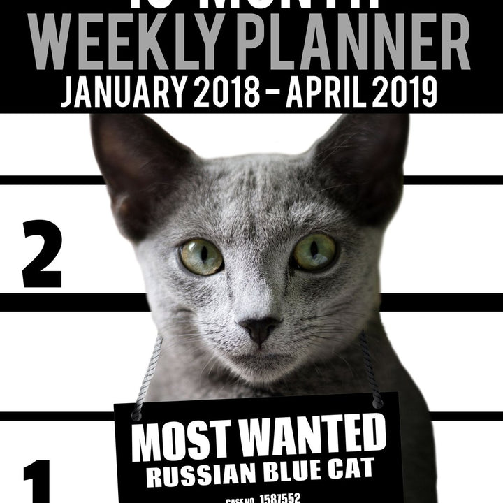 2018-2019 Weekly Planner - Most Wanted Russian Blue Cat: Daily Diary Monthly Yearly Calendar Large 8.5" x 11" Schedule Journal Organizer (Cat Planners 2018-2019)