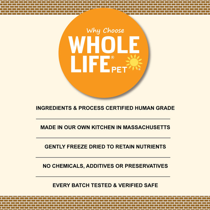 Whole Life Pet Just One Salmon - Cat Treat Or Topper - Human Grade, Freeze Dried, One Ingredient - Protein Rich, Grain Free, Made in The USA