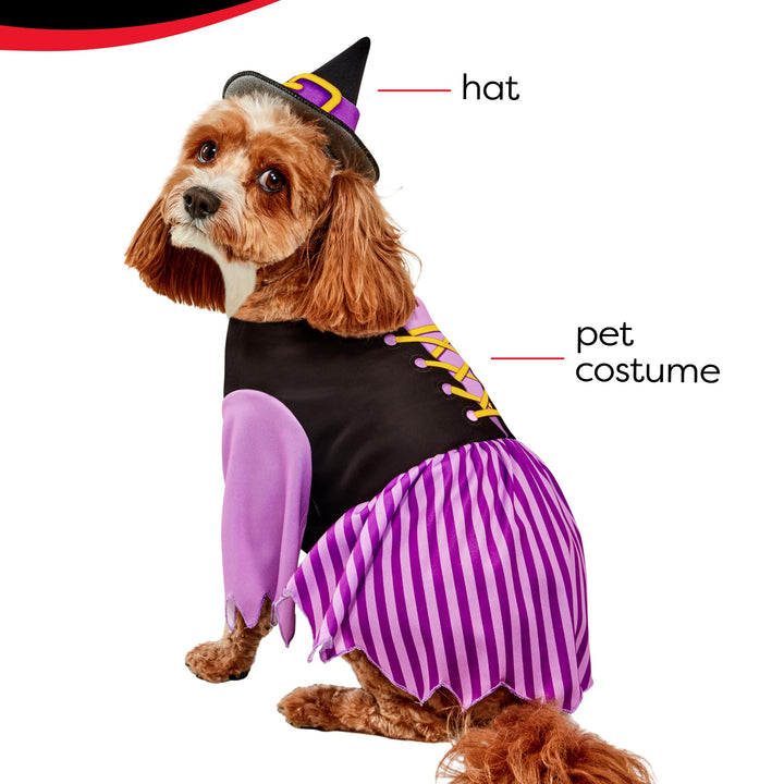 Rubies Witch Fun and Cute Pet Costume Dress and Hat for Themed Party and Halloween, Large As Shown