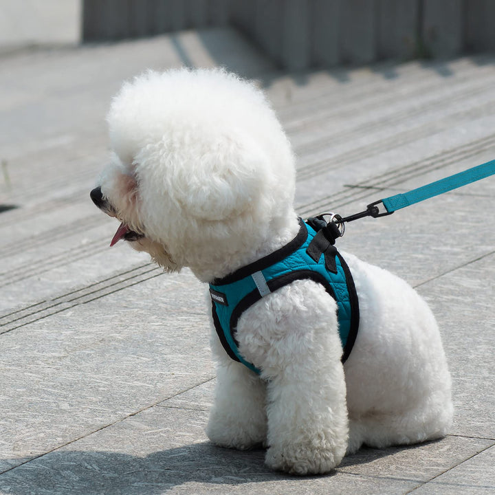 Voyager Step-in Plush Dog Harness – Soft Plush, Step in Vest Harness and Reflective Dog 5 ft Leash Combo with Neoprene Handle for Small and Medium Dogs by Best Pet Supplies -Set (Red Corduroy), S Harness Leash Set (Red Corduroy) S (Chest: 14.5 - 16")