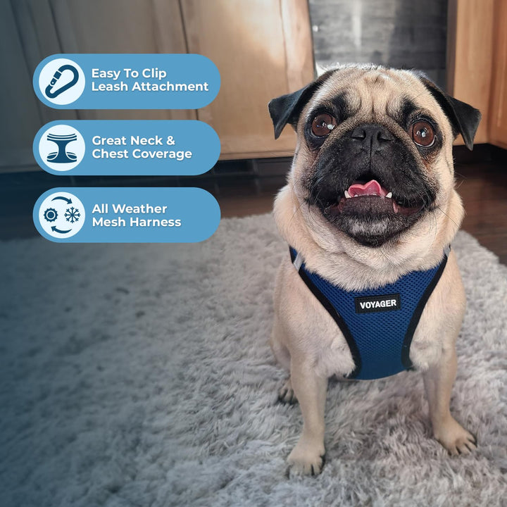 Voyager Step-In Air Dog Harness - All Weather Mesh Step in Vest Harness for Small and Medium Dogs by Best Pet Supplies - Blue Base, M Harness (Blue/Black Trim) M (Chest: 16 - 18")