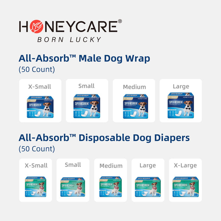 HONEY CARE All-Absorb, XXL 30"x36", 30 Count, Dog and Puppy Training Pads, Ultra Absorbent and Odor Eliminating, Leak-Proof 5-Layer Potty Training Pads with Quick-Dry Surface, Blue, A39 2X-Large - 30" x 36"