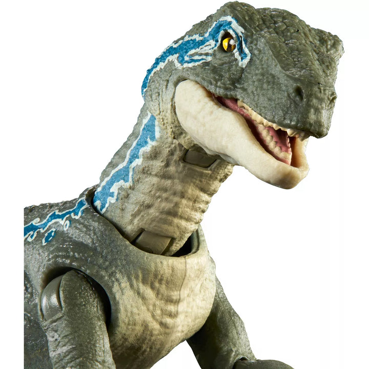 Jurassic World Hammond Collection Velociraptor Blue Action Figure