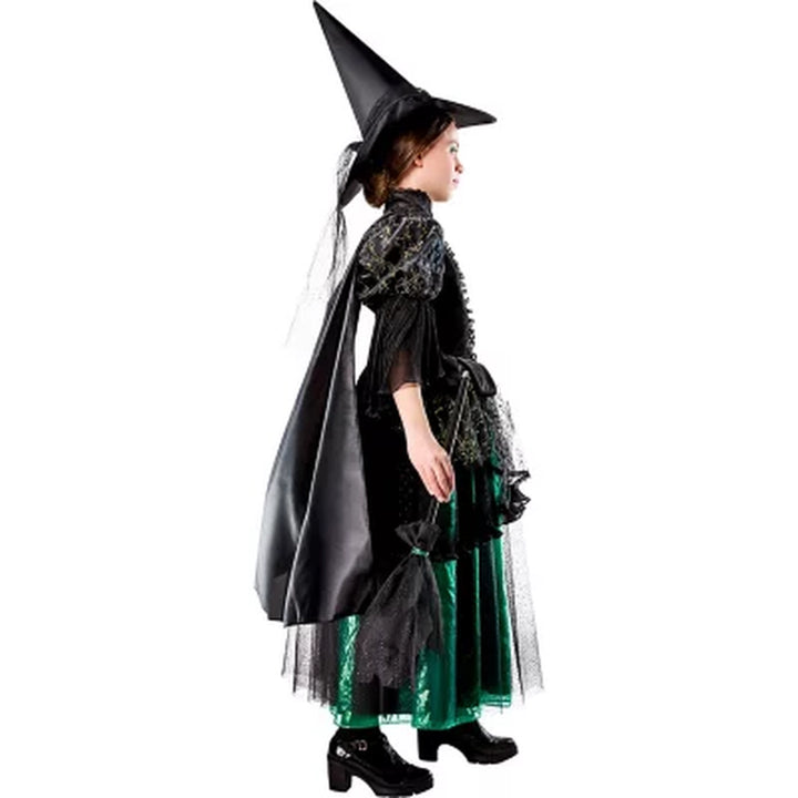 Wizard of Oz Wicked Witch Kids Premium Costume