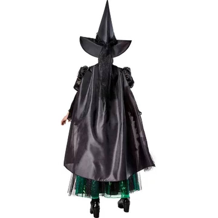 Wizard of Oz Wicked Witch Kids Premium Costume