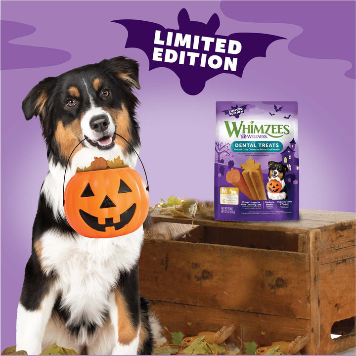 Whimzees by Wellness Halloween Natural Dental Chews for Dogs, Long Lasting Treats, Grain-Free, Freshens Breath, Medium Breed, 6 Count Dental Medium 6.35 Ounce (Pack of 1)