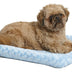 MidWest Homes for Pets Bolster Dog Bed 24L-Inch Blue Dog Bed or Cat Bed w/ Comfortable Bolster | Ideal for "Small" Dog Breeds & Fits a 24-Inch Dog Crate | Easy Maintenance Machine Wash & Dry