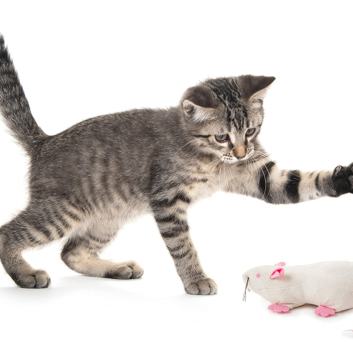 SmartyKat Rat Pack Kicker Plush Catnip Cat Toy - Randomly Selected Color, Jumbo