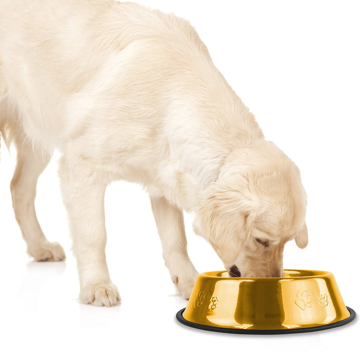 Platinum Pets Non-Tip Stainless Steel Dog Bowl, Large 24K Gold