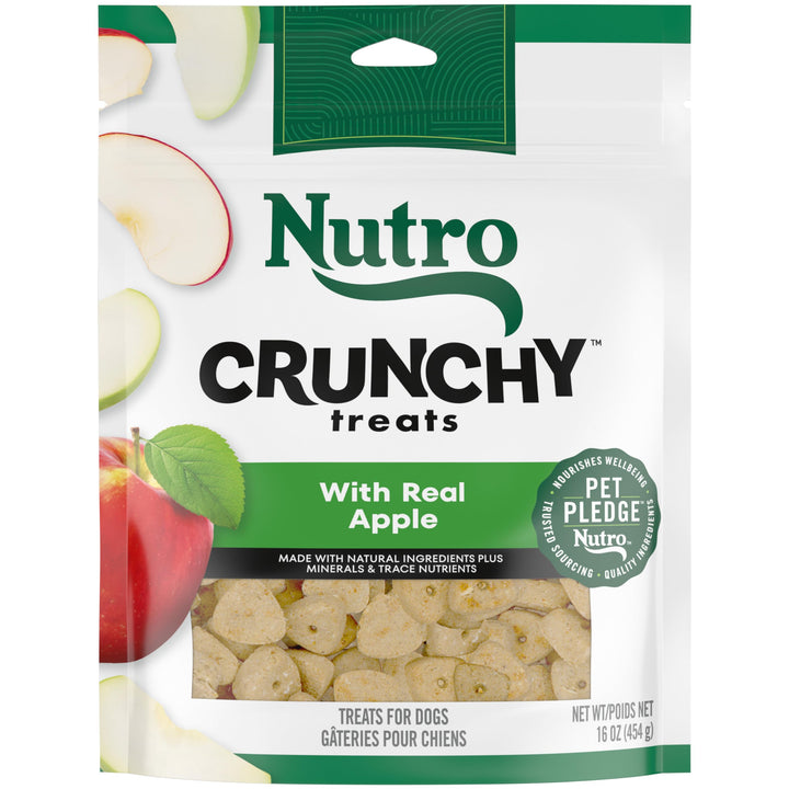 NUTRO Crunchy Dog Treats with Real Mixed Berries, 10 oz. Bag 10 Ounce (Pack of 1)