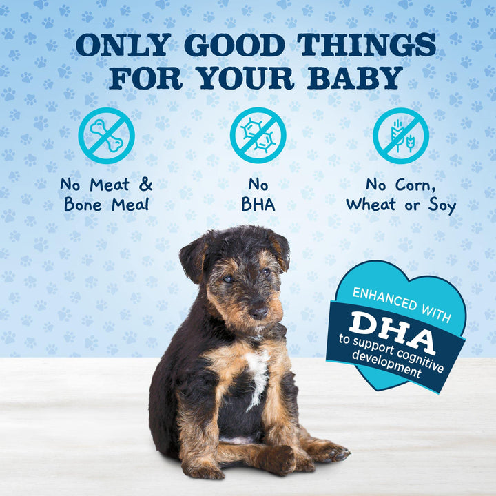 Blue Buffalo Baby BLUE Soft Biscuits with DHA, Natural Dog Treats for Puppies, Great for Training, with Chicken & Carrots, 8-oz. Bag 8 Ounce (Pack of 1)