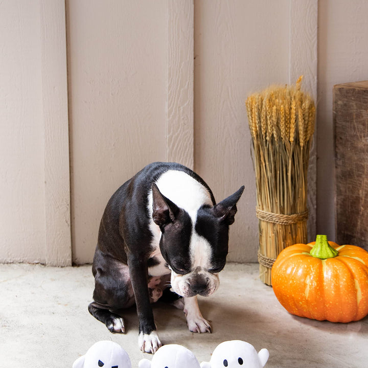 Pearhead Plush Squeaky Ghost Dog Toys, Halloween Stuffed Pet Toy, Dog Owner Must Have Accessories, Spooky Ghosts Fall Dog Toys, Set of 3 Ghost Pet Toy Set