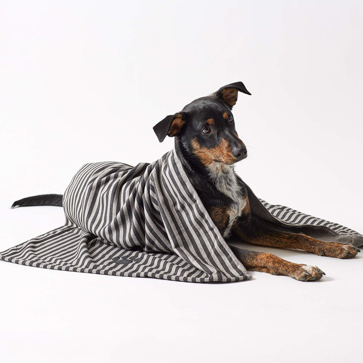 Bone Dry Pet Grooming Towel Collection Absorbent Microfiber X-Large, 41x23.5", Striped Black 41x23.5"