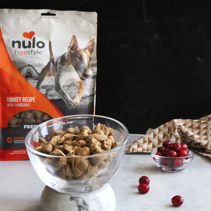 Nulo Freestyle Freeze-Dried Raw, Ultra-Rich Grain-Free Dry Dog Food for All Breeds and Life Stages with BC30 Probiotic for Digestive and Immune Health Turkey 5 Fl Oz (Pack of 1)
