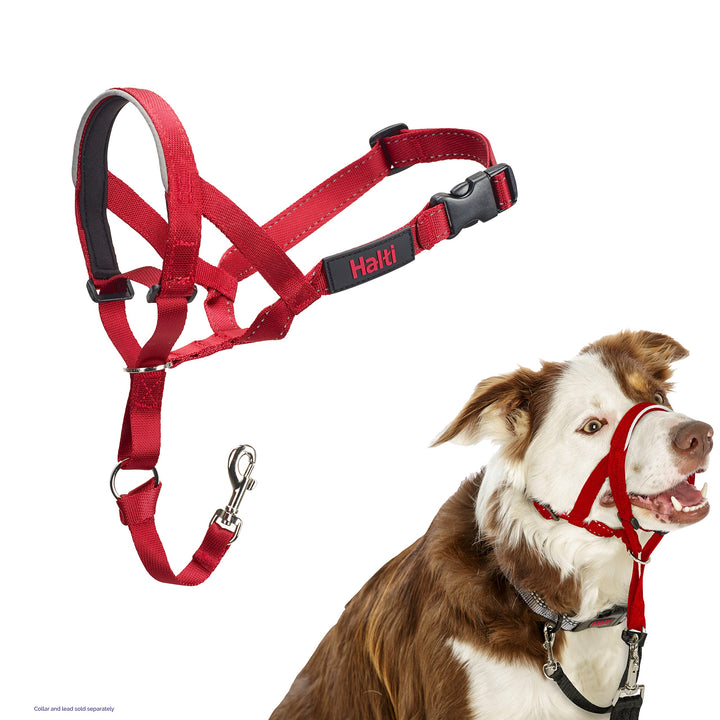 HALTI Headcollar - to Stop Your Dog Pulling on The Leash. Adjustable, Reflective and Lightweight, with Padded Nose Band. Dog Training Anti-Pull Collar for Medium Dogs (Size 2, Red)