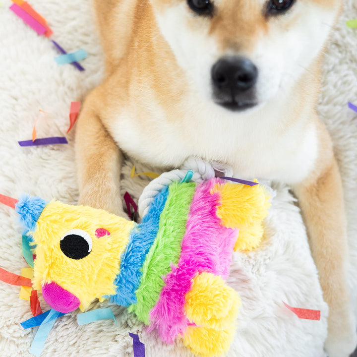 Pearhead Puppy Pinata Dog Toy, Rope Tug Toy for Dogs, Colorful Interactive Dog Toys, Party Pinata Toy for Dogs, Plush Chew Toy, Pet Owner Must Have Toy Pearhead Puppy Pinata Dog Toy