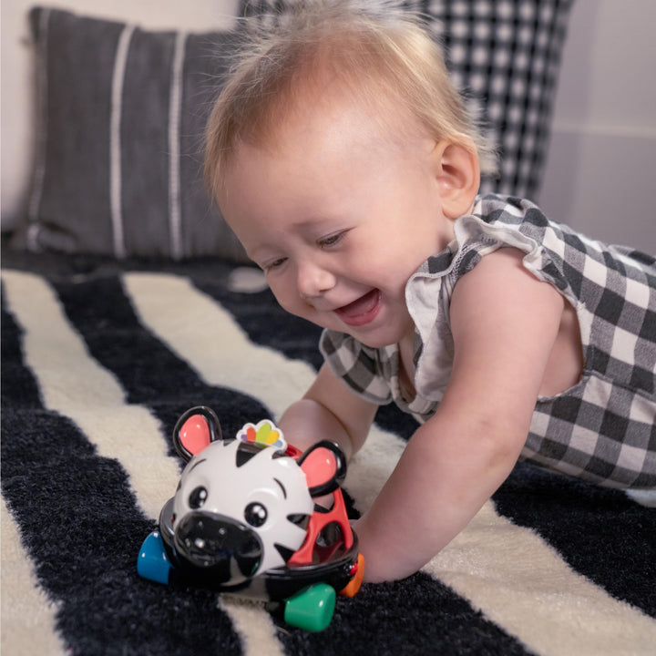 Baby Einstein Curious Car Zen Oball Toy Car & Rattle, Light Up, Ages 3 Months+, Zen The Zebra Zen Oball Car