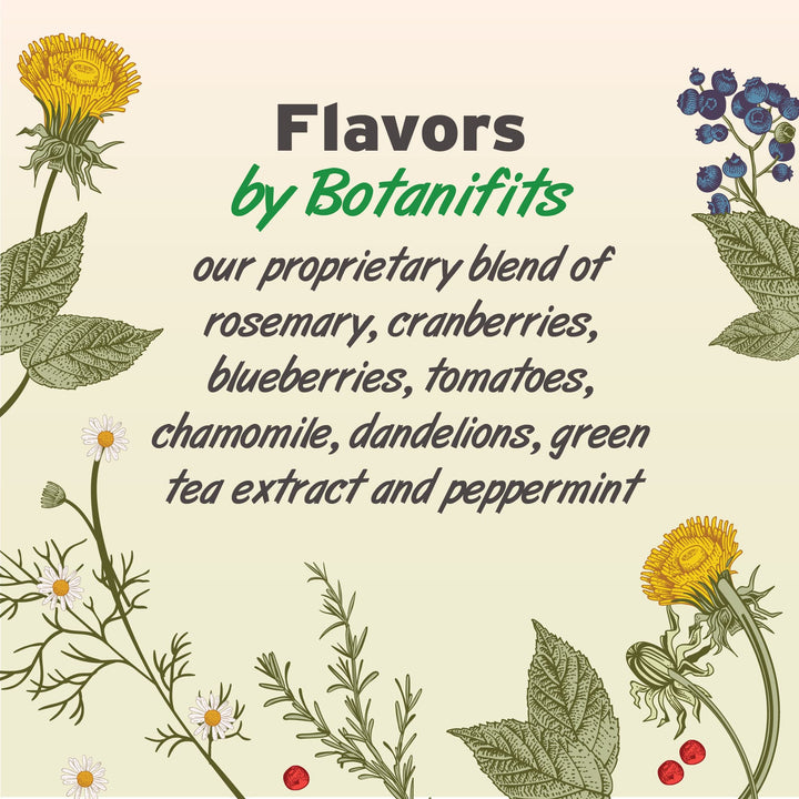 Pet Botanics 4 oz. Pouch Training Reward Freeze Dried, Beef Liver Flavor, with 310 Treats Per Bag, The Choice of Top Trainers 6 Ounce (Pack of 1)